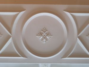 Classical use of the single rib